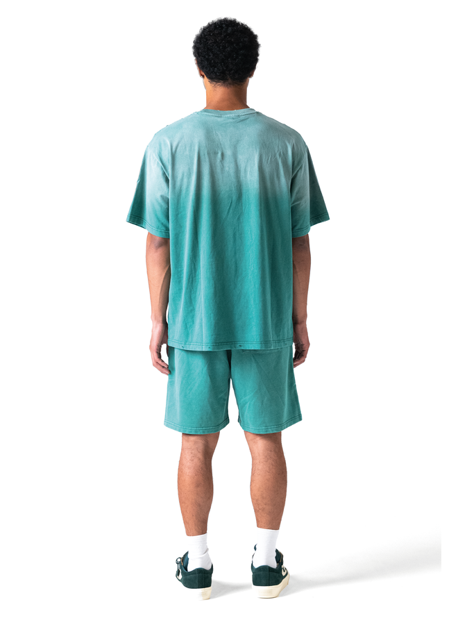 Fade Logo Short Washed Green