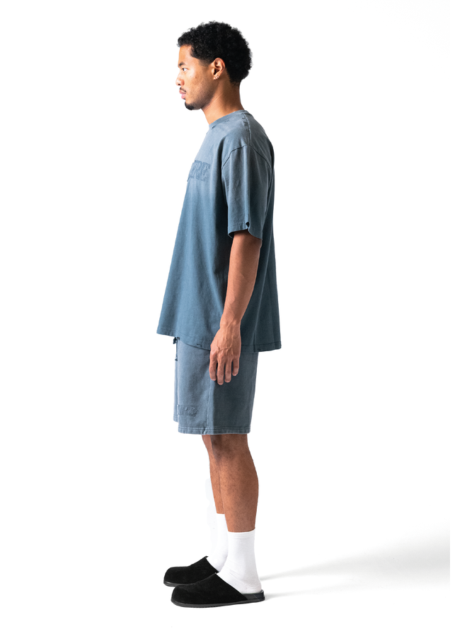 Fade Logo Short Washed Grey