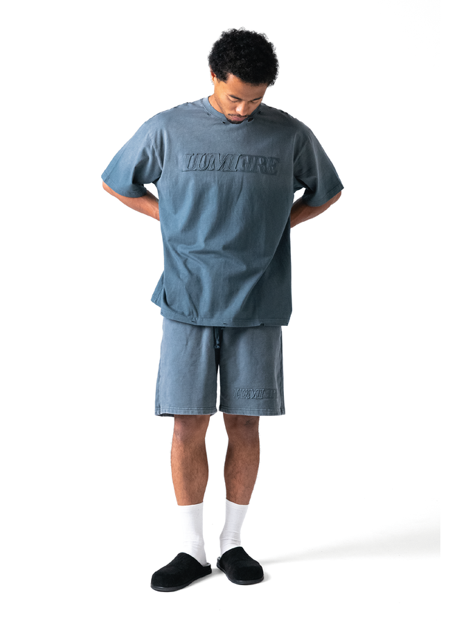 Fade Logo Short Washed Grey