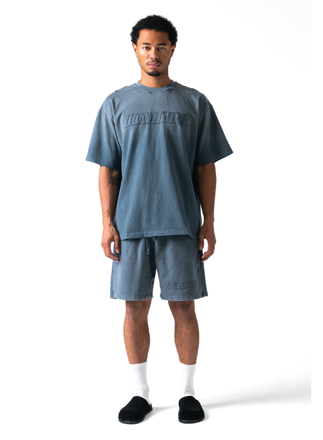 Fade Logo Short Washed Grey