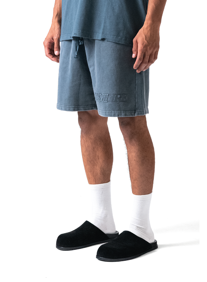 Fade Logo Short Washed Grey