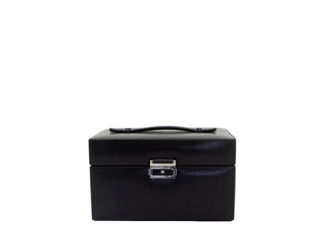 Friedrich Schmuckkoffer Milano Lizard-Optik