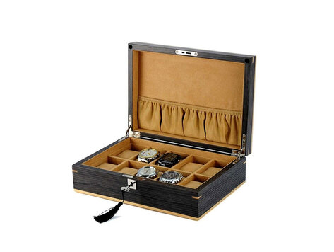 leonardo louis Uhrenbox Livorno 10 Ginko Edition