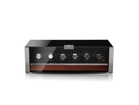 Modalo Allegra 6 - Makassar für 6 Uhren