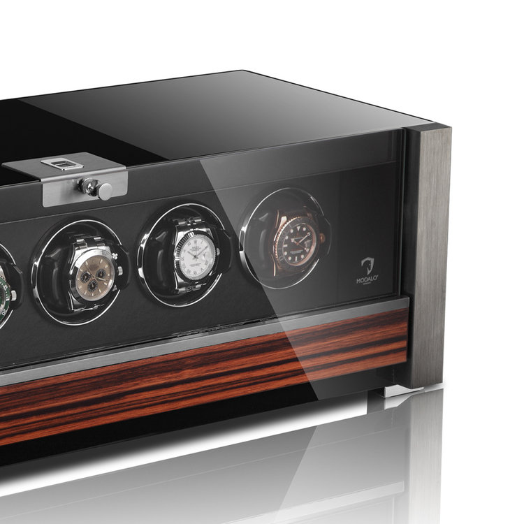 Modalo Allegra 6 - Makassar für 6 Uhren