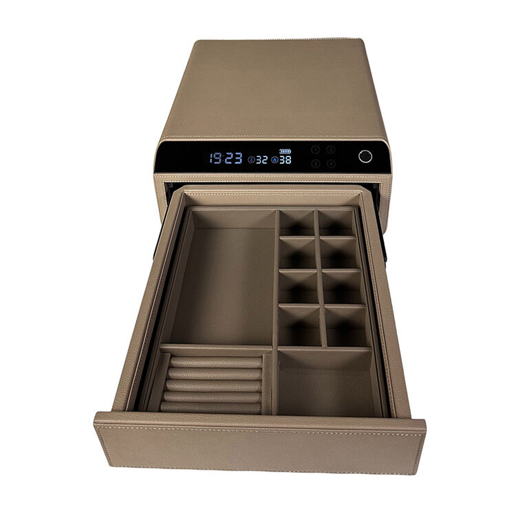 Chronoguard Switzerland Schubladensafe 2 mit Fingerprint grau