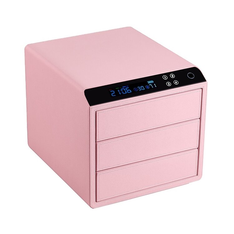 Chronoguard Switzerland Schubladensafe 3 mit Fingerprint pink