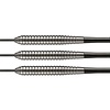 Target Power Silverlight Taylor B 24 g Steel Tip Darts