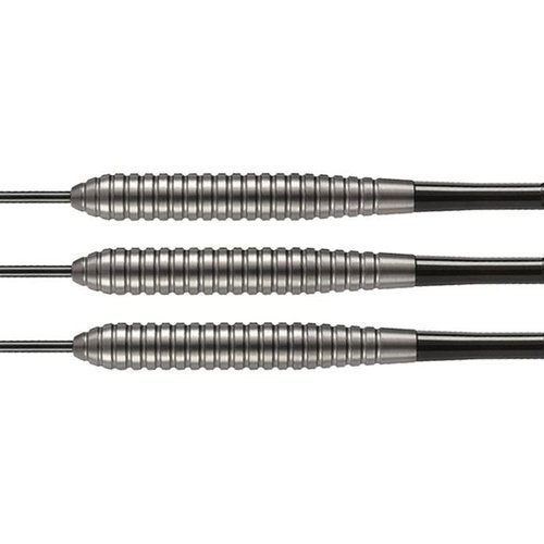 Target Power Silverlight Taylor B 24 g Steel Tip Darts