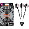 Target Target Raymond van Barneveld x Echo Swiss Point 95% Steel Tip Darts