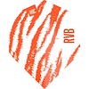 Target Target RVB Pro Ultra White NO2 Dart Flights