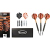 Target Target Raymond van Barneveld RVB Brass Set 22 Pieces Steel Tip Darts