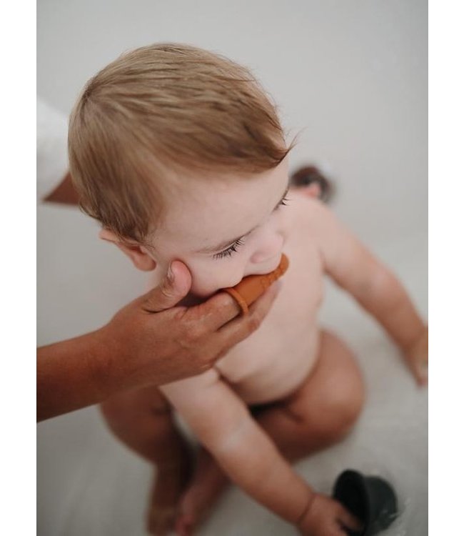 Vingertandenborstel cambridge blue set