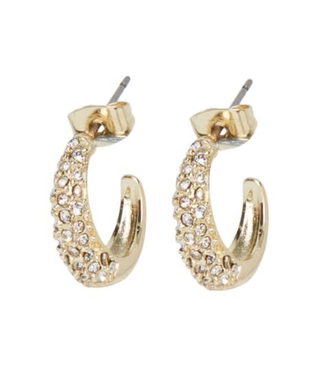 PIECES Figna hoop earrings - Gold