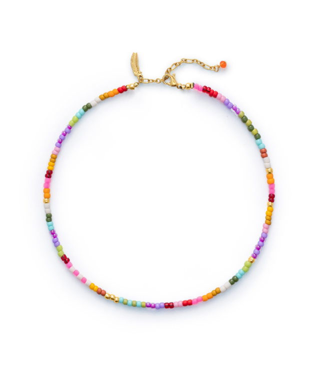 Rainbow Rides Anklet