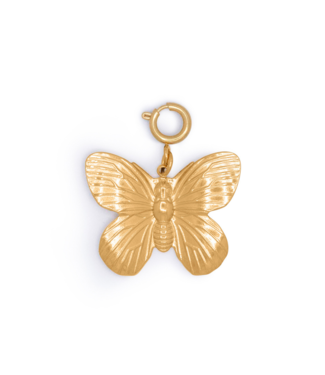 Golden Butterfly Charm