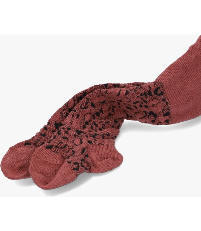 Maillot Saga Chocolate