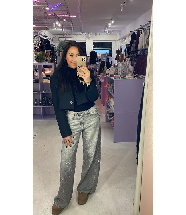 Yara Sparkle Wide Leg Jeans - Grey