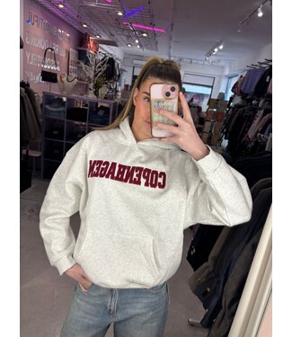 Copenhagen Hoody - Grey