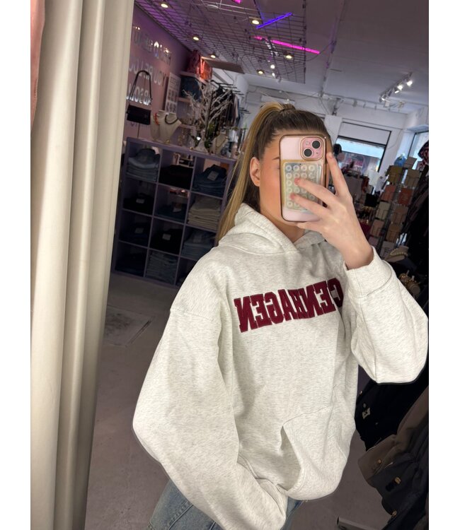 Copenhagen Hoody - Grey