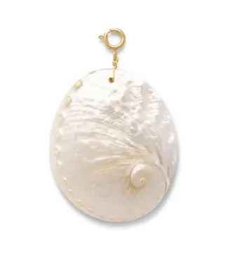 Le Veer Oval Shell Bedel