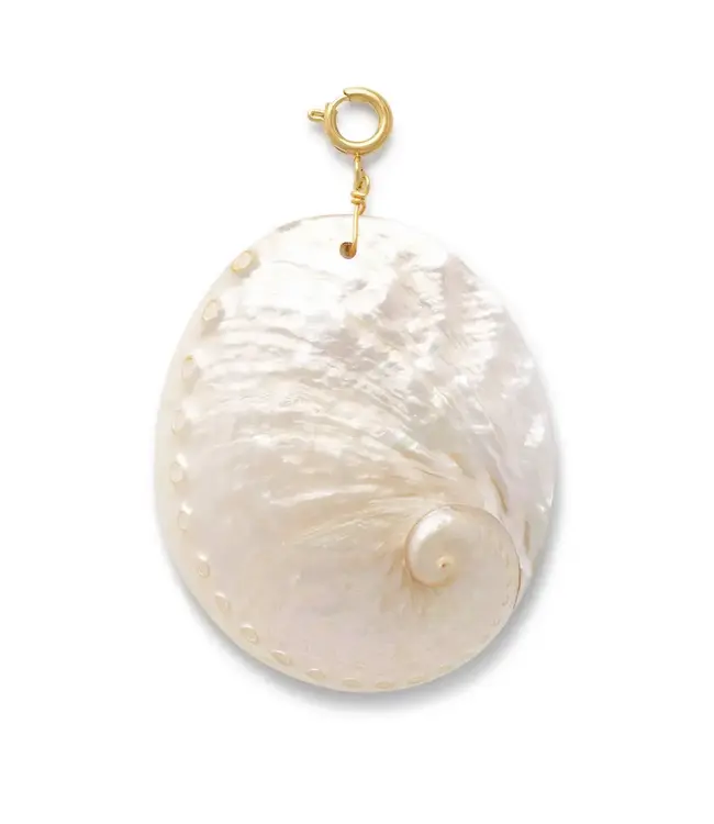 Oval Shell Bedel