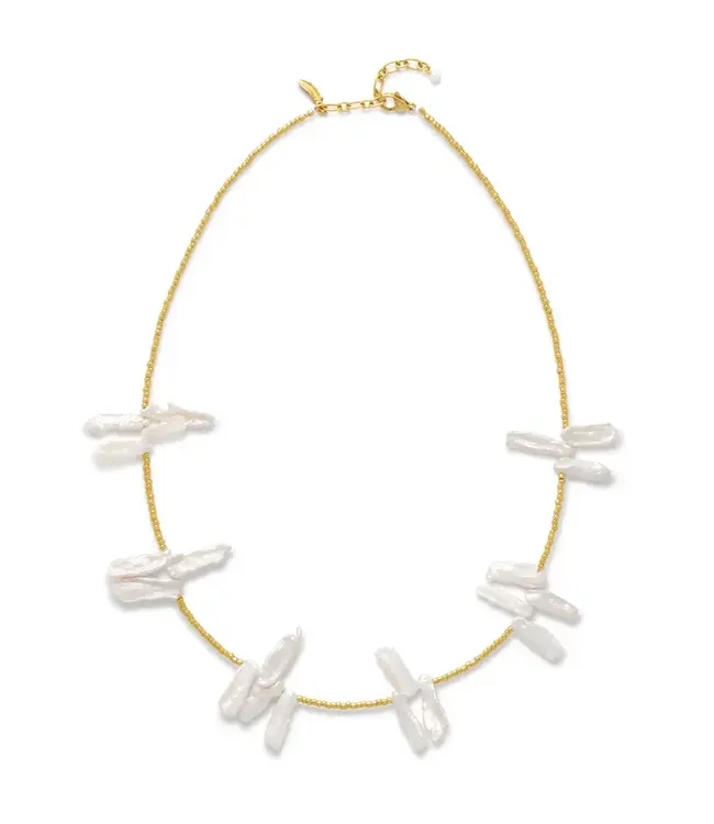 Reef Ketting