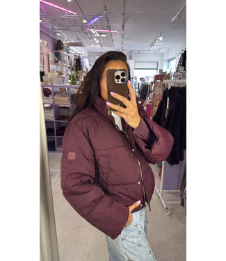 The Lola Club Rea Jacket - Mulberry Wine