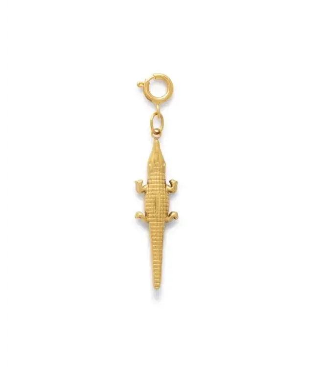 Crocodile Bedel