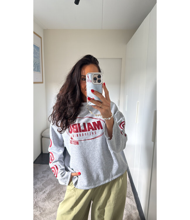 Malibu Longsleeve - Grey