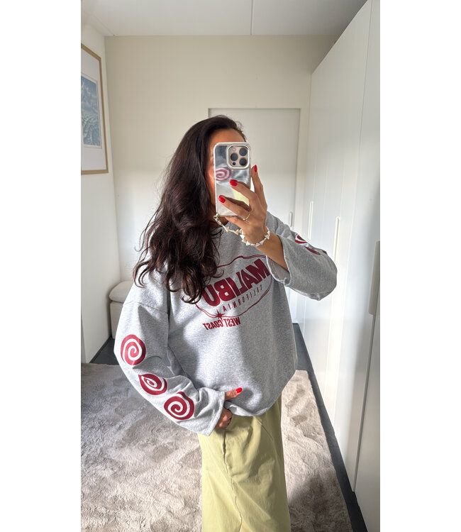 Malibu Longsleeve - Grey
