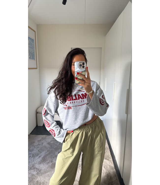 Malibu Longsleeve - Grey