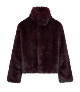 Ydence Coat Chrissy - Plum
