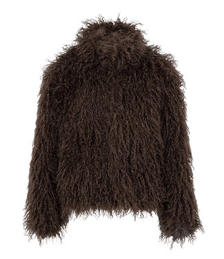 Ydence Coat Keesie - Chocolate Brown