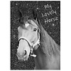 Animal Pictures Lovely Horse Dagboek A6 Inclusief Slotje