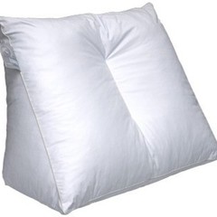 Ducky Dons Lekker-Lui-Lezen kussen 45x65x30 cm