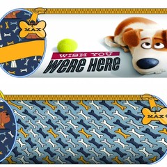 The Secret Life of Pets Wish You Were Here rond etui 20 x 6 cm Blauw