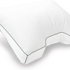 Silvana 90% Eendendonzen Hoofdkussen Sonora