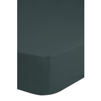 Good morning Hoeslaken - katoen sv d.groen