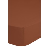 Good morning Hoeslaken - katoen sv terra