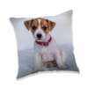 Animal Pictures Kussen Puppy 40 x 40 cm Polyester