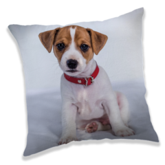 Animal Pictures Kussen Puppy 40 x 40 cm Polyester