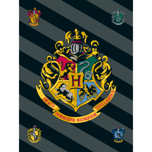 Harry Potter Fleece deken Logo - 100 x 150 cm - Polyester