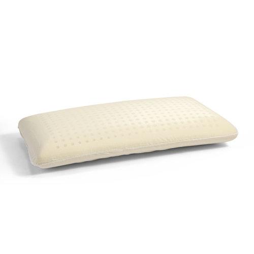 Dreamhouse Orthopedisch Bamboo Viscogel Kussen White