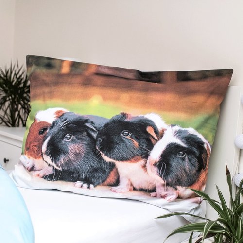 Animal Pictures Dekbedovertrek, Cavia - (Let op - Met extra grote sloop 70x90cm) - Katoen