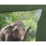 Good morning Dekbedovertrek Elephants 140x220 kids nr.30754 groen
