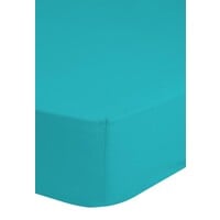 Good morning Hoeslaken jersey aqua