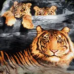 Sleeptime Woon-slaapdeken Tiger king Multi 200 x 240