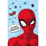 Spiderman Fleeceplaid Web - 100 x 150 cm - Polyester