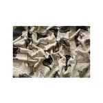 Sweet Home Hoeslaken Katten - Eenpersoons - 90 x 190/200cm - Teddy Fleece